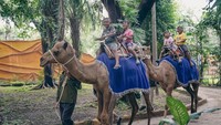 Pandemi kemarin menghantam sejumlah tempat wisata di Indonesia, salah satunya kebun binatang. Bagaimana tidak, di tengah tidak adanya wisatawan yang berkunjung, biaya operasional kebun binatang tetap berlangsung. Menariknya, Kebun Binatang Surabaya disebut mampu bertahan dan bahkan bangkit lebih cepat. Berbeda dengan itu, apresiasi bisa diberikan kepada tempat wisata yang bisa bertahan seperti Kebun Binatang Surabaya.