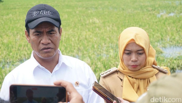 Mentan Andi Amran Sulaiman didampingi Bupati Demak Eistianah usai meninjau sawah terendam banjir di Desa ngaluran, Kecamatan Karanganyar, Demak, Senin (12/2/2024).