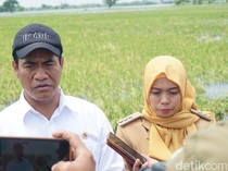 Pemerintah Tambah Kuota Pupuk Subsidi Jadi 9,55 Juta Ton