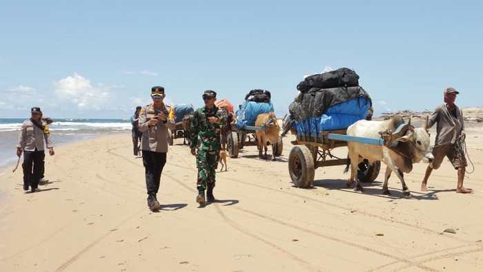 Para petugas dari Polres Pesisir Barat dibantu masyarakat menggunakan gerobak sapi mendistribusikan surat suara pemilu 2024 untuk 4 pekon di Kecamatan Bengkunat, Minggu (11/2/2024). Para petugas dari Polres Pesisir Barat dibantu masyarakat menggunakan gerobak sapi mendistribusikan surat suara pemilu 2024 untuk 4 pekon di Kecamatan Bengkunat, Minggu (11/2/2024).