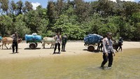 Logistik-logistik tersebut diantarkan ke 4 pekon di Kecamatan Bengkunat. Yakni Pekon Bandar Dalam, Pekon Way Haru, Pekon Way Tias, dan Pekon Siring Gading. Petugas gabungan dari KPU dan TNI-Polri harus menempuh jarak 20 kilometer dengan medan yang sulit. Foto: Dok. Polres Pesisir Barat