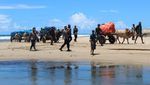 Potret Gerobak Sapi Susuri Pantai Distribusikan Logistik Pemilu di Lampung
