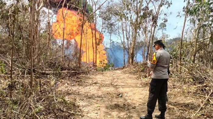 Penampakan kebakaran sumur minyak ilegal di kawasan Tahura, Batanghari, Jambi.