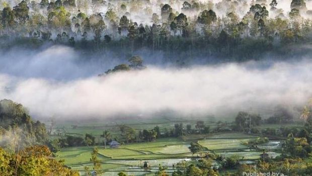 Pesona negeri di atas awan Lampung, Bukit Bawang Bakung.