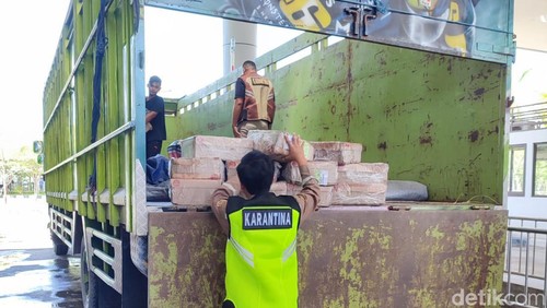 Petugas Karantina saat menggagalkan 160 kilogram sosis ayam ilegal asal Timor Leste di PLBN Motaain, Kabupaten Belu, NTT