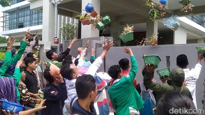 Puluhan mahasiswa menggeruduk kantor OJK Provinsi Nusa Tenggara Barat (NTB), Senin (12/2/2024). Mereka juga melempar sayur busuk ke kantor tersebut. (Foto: Ahmad Viqi/detikBali)