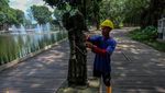 Potret Taman Balekambang Solo Selesai Dipugar