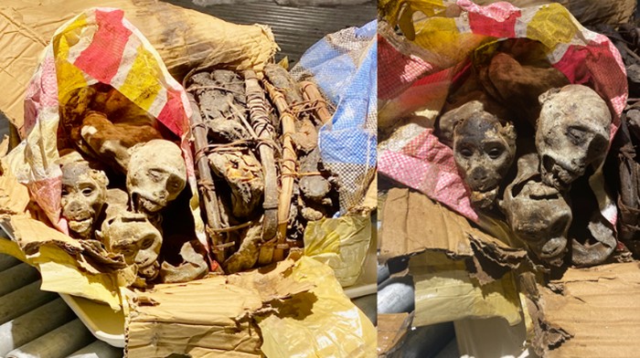 Tulang belulang monyet yang dibawa pelancong