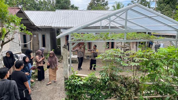 Budi daya anggur Aipda Firman Eka di Mataram (Foto: dok. Istimewa/Foto diberikan oleh Aipda Firman)