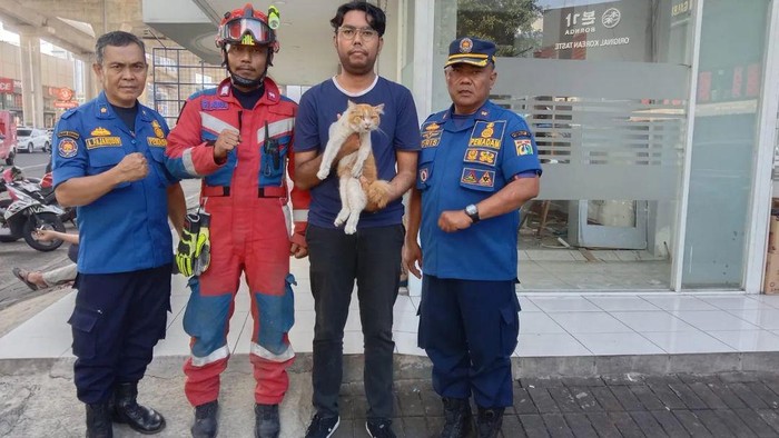 Damkar Evakuasi Kucing Oyen yang Terjebak di Sela Jalan Tol Kelapa Gading
