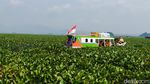 Susahnya Petugas Distribusi Logistik Pemilu ke Ujung Bandung Barat