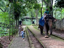 Lebaran, Kebun Binatang Bandung Tetap Buka
