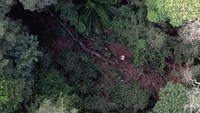 Lima tahun kemudian, setelah mengumpulkan tim ilmuwan, naturalis, dan peneliti, Dr Bayliss terbang ke Mozambik. Ia berbicara dengan masyarakat lokal di sekitar kaki Gunung Lico dan diberitahu bahwa sejauh yang mereka tahu tidak ada orang yang pernah mendaki gunung tersebut.