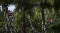 Kabupaten Asmat memiliki 224 kampung atau setara tingkat kelurahan yang berdiri di atas tanah berlumpur dan rawa.