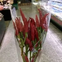 Buat yang punya pacar pecinta pedas, buket bunga yang satu ini boleh dicoba. Dijamin anti mainstream dan doi nggak akan lupa sama kado Valentine dari kamu. Foto: Instagram/awreceh.id