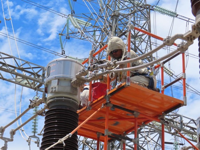 PLN