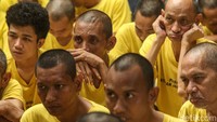 Diketahui Yayasan Jambrud Biru memiliki 140 pasien, namun yang memiliki DPT sebanyak 97 pasien. Hal tersebut terjadi karena sulitnya mengurus administrasi bagi para pasien yang tidak memiliki NIK.