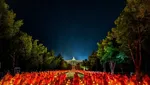 Karya Epik Sony World Photography Awards 2024, Satu Momen dari Indonesia