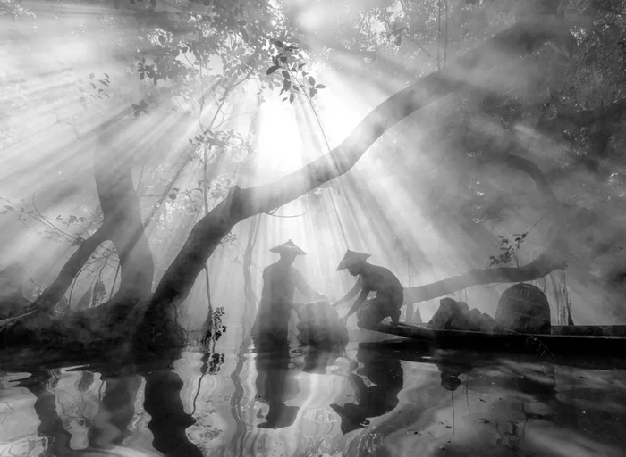 Sony World Photography Awards 2024