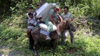 Pengiriman logistik Pemilu ke TPS terpencil, minim sarana prasarana, dan rawan dari sisi geografis, dikawal oleh petugas Kepolisian Resor (Polres) Jember.