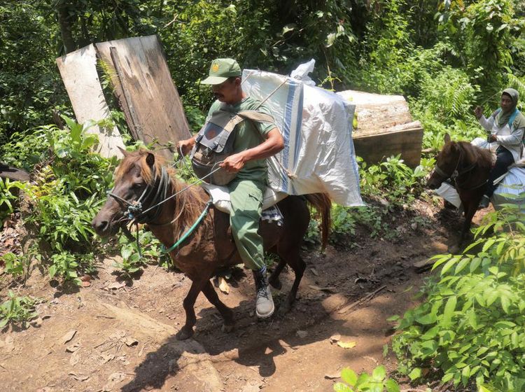 Warga Distribusikan Kotak Suara ke Desa Terpencil Pakai Kuda