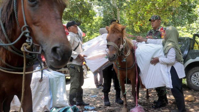Warga Distribusikan Kotak Suara ke Desa Terpencil Pakai Kuda Electoral workers load ballot boxes and other election paraphernalia on to horses to distribute them to polling stations in remote villages in Andongrejo, East Java, Indonesia, Tuesday, Feb. 13, 2024. Indonesia, the world's third-largest democracy, will open its polls on Wednesday, Feb. 14, to nearly 205 million eligible voters in presidential and legislative elections, the fifth since Southeast Asia's largest economy began democratic reforms in 1998. (AP Photo/Trisnadi)