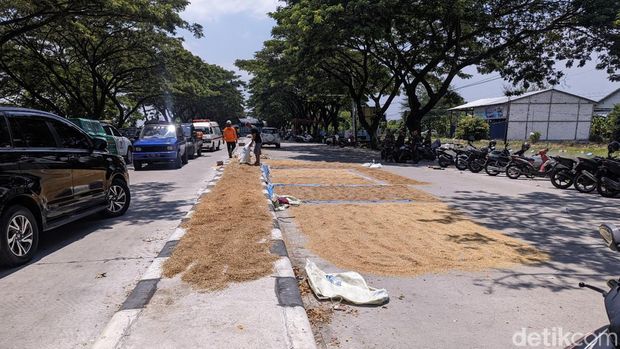 Warga terdampak banjir memarkirkan kendaraan dan menjemur gabah di jalur Pantura yang lumpuh, di Desa Cangkring, Karanganyar, Demak, Selasa (13/2/204).