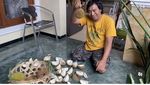 Kocaknya Komeng Saat Makan Pecel Lele hingga Bakso Kaki Lima