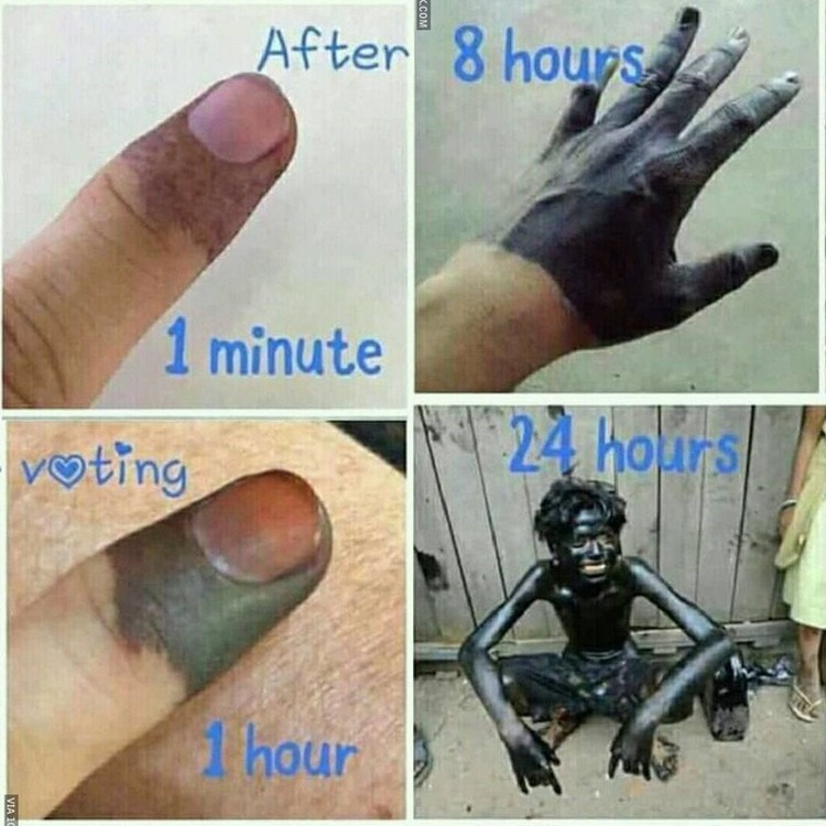 Meme Pemilu