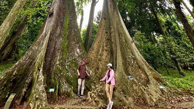 Menteri Keuangan (Menkeu), Sri Mulyani Indrawati berfoto bersama suami di pohon jodoh, Kebun Raya Bogor. (Instagram @smindrawati)