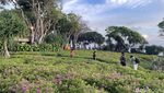 Kalau Mau Nyore Hemat di Bali, ke Sinilah
