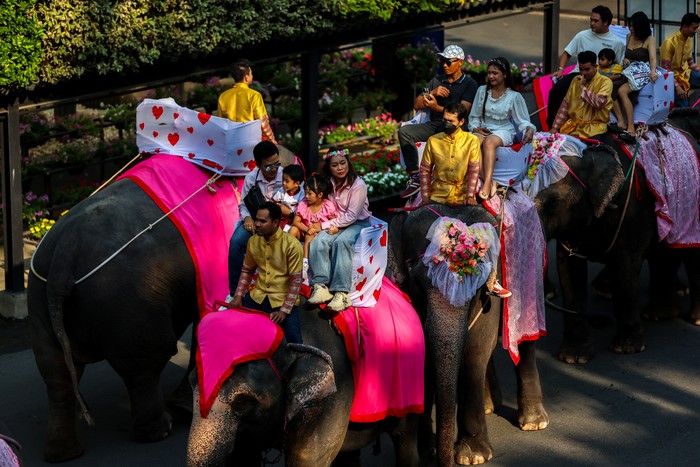 Couples ride elephants during a Valentines Day celebration, at the Nong Nooch Tropical Garden in Chonburi province, Thailand, February 14, 2024. REUTERS/Athit Perawongmetha