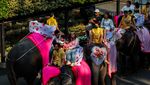 9 Pasangan di Thailand Nikah Massal di Atas Gajah