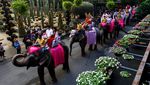 9 Pasangan di Thailand Nikah Massal di Atas Gajah
