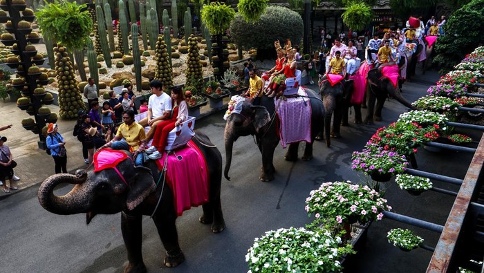 Couples ride elephants during a Valentines Day celebration, at the Nong Nooch Tropical Garden in Chonburi province, Thailand, February 14, 2024. REUTERS/Athit Perawongmetha