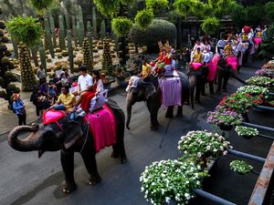 9 Pasangan di Thailand Nikah Massal di Atas Gajah