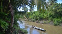 Warga menggunakan pompong (perahu mesin tempel) membawa logistik Pemilu 2024 di pedalaman Desa Madobag, Siberut Selatan, Kabupaten Kepulauan Mentawai, Sumatera Barat, Kamis (15/2/2024).