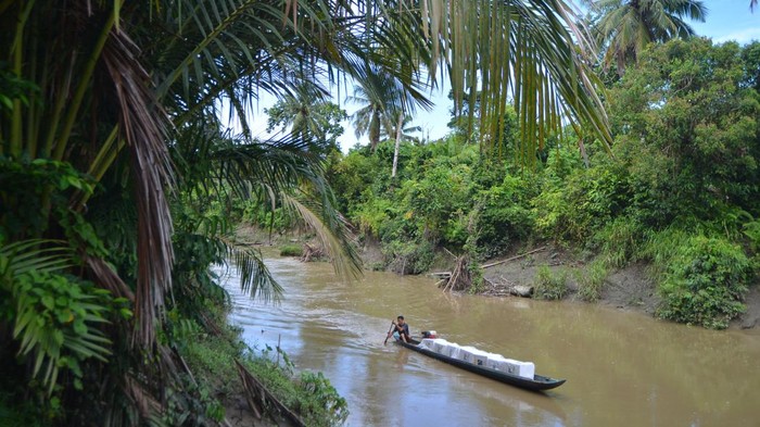 Distribusi balik logistik pemilu dari pedalaman Mentawai Warga memindahkan logistik Pemilu 2024 dari pompong (perahu mesin tempel) di pedalaman Desa Madobag, Siberut Selatan, Kabupaten Kepulauan Mentawai, Sumatera Barat, Kamis (15/2/2024). KPU Kabupaten Kepulauan Mentawai mulai mendistribusikan kembali logistik pemilu dari sejumlah TPS terjauh di kecamatan tersebut menggunakan pompong kemudian dikumpulkan di kantor desa sebelum dibawa ke gudang PPK di Muaro Siberut. ANTARA FOTO/Iggoy el Fitra/tom.