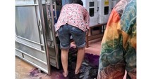 Tinta tumpahEntah bagaimana ceritanya sampai tinta yang dipakai untuk menandai pemilih bisa tumpah seperti ini. Apalagi kondisi di sekitarnya tergenang air. Apa jadinya celup kaki nih?Foto: Istimewa (twitter @Rienir123)