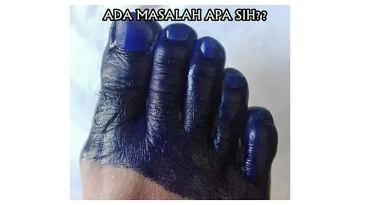 Meme tinta pemilu
