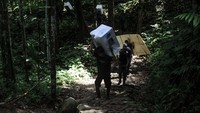 Berjalan sejauh puluhan kilometer dengan medan pegunungan pun tak menjadi halangan bagi Suku Badui untuk tetap mendistribusikan logistik 135 kotak suara untuk ke 27 tempat pemungutan suara (TPS).