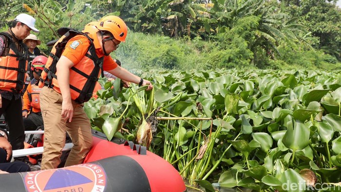 Plh Gubernur Jatim susuri Sungai Buntung dan temukan 5 km permukaan sungai itu tertutup eceng gondok.