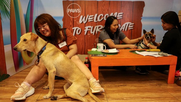 Linette Ang hugs Clay, a dog rescued by the Philippine Animal Welfare Society (PAWS), during their 