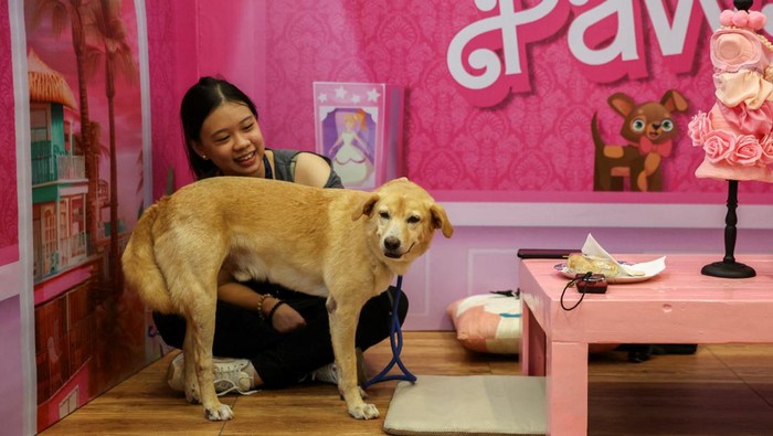 Linette Ang hugs Clay, a dog rescued by the Philippine Animal Welfare Society (PAWS), during their 