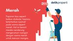 Jangan Dipakai di Rumah! 4 Warna Cat Ini Disukai Nyamuk