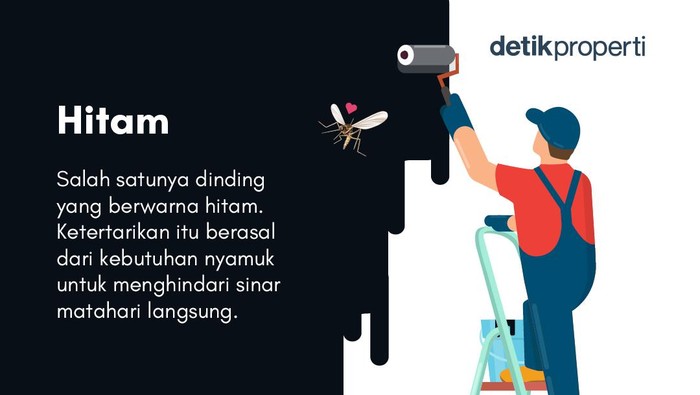 4 warna cat dinding yang paling disukai nyamuk/Andhika Akbaryansyah/detikcom 4 warna cat dinding yang paling disukai nyamuk/Andhika Akbaryansyah/detikcom