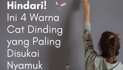 Jangan Dipakai di Rumah! 4 Warna Cat Ini Disukai Nyamuk