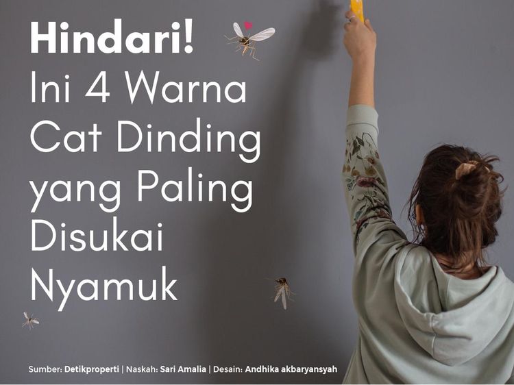 Jangan Dipakai di Rumah! 4 Warna Cat Ini Disukai Nyamuk