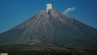 Selain itu, Gunung Semeru juga mengalami 7 kali gempa Awan Panas Guguran (APG) amplitudo 3-8mm selama 39-51detik.
