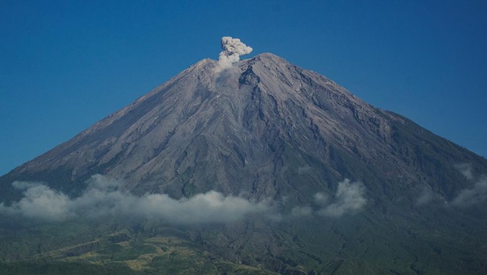 Aktivitas vulkanis Gunung Semeru Asap vulkanis yang keluar dari kawah Gunung Semeru terlihat dari Desa Supiturang, Lumajang, Jawa Timur, Jumat (16/2/2024). Bedasarkan data Pusat Vulkanologi Mitigasi Bencana Geologi (PVMBG) pada periode pengamatan Jumat (16/2) pukul 06.00-12.00 WIB Gunung Semeru mengeluarkan material vulkanik dengan 19 kali gempa letusan atau erupsi amplitudo 10-22mm selama 83-130 detik, 7 kali gempa Awan Panas Guguran (APG) amplitudo 3-8mm selama 39-51detik. ANTARA FOTO/Irfan Sumanjaya/aww.